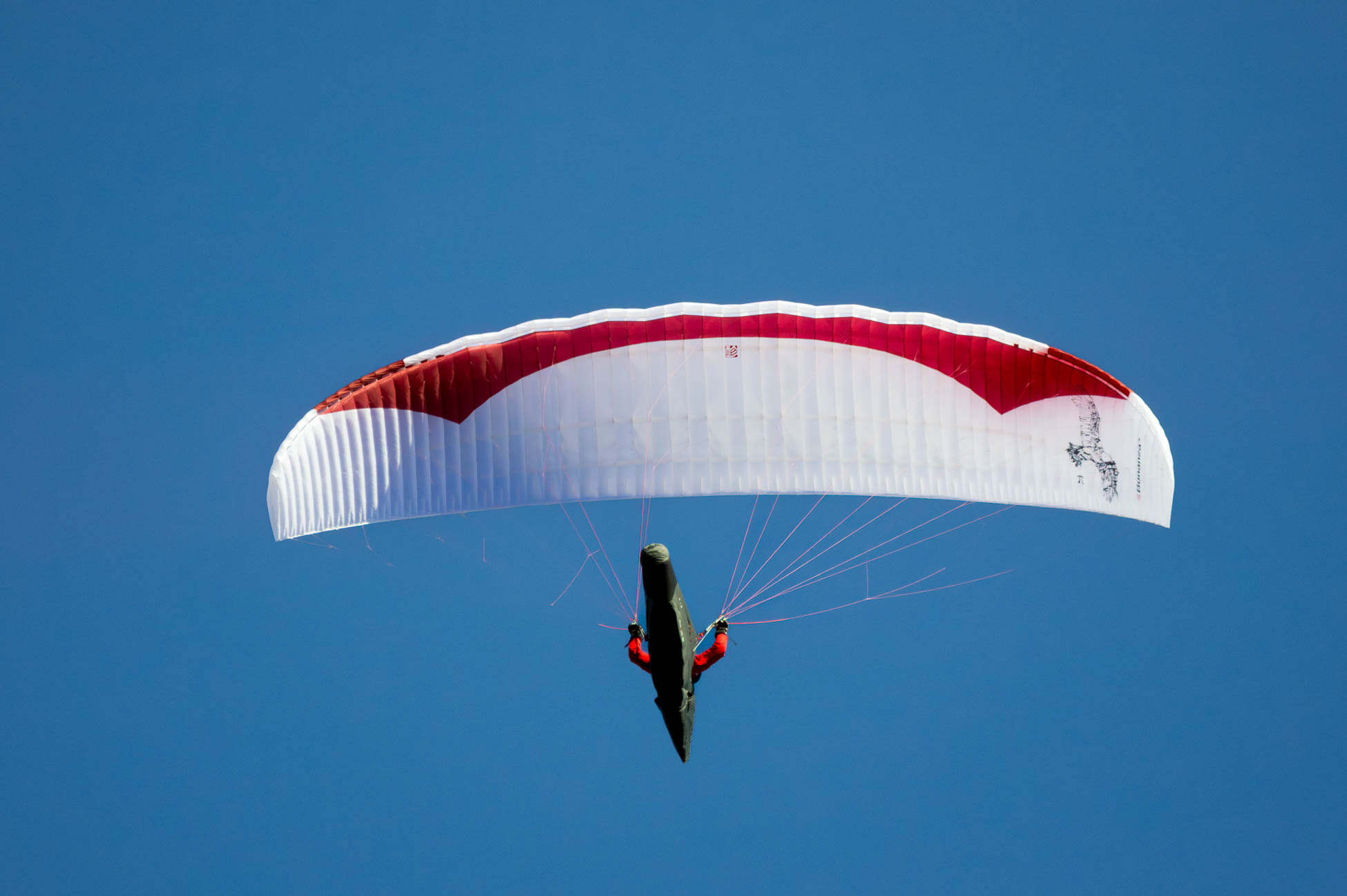 photographe de sport outdoor j'ai capturé ce parapentiste en plein vol dans le ciel bleu de Gourdon dans les Alpes Maritimes 